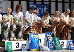 Graet weekend for us again. CACIB Litomerice on 19th of May under Mr H. Klemann - Germany.My Cowboy, Eric and Francis as a golden team won ,"Best Breeding Group",  (8 entries) on Saturday.      Foto V. Prochzka