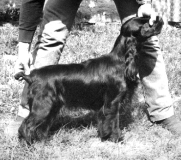 Champ. Afrodit� z Vejminku