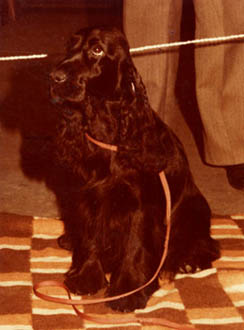 Champ. Afrodit� z Vejminku