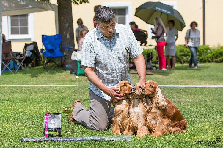 Breeding group: 1st place - WINNERS