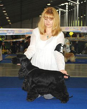 CACIB Praha 2010 - Exc.I., Best veteran (at his 12 years !!!)