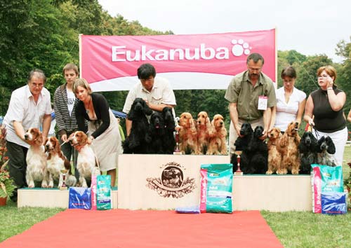 BEST BREEDING GROUP AT THE SHOW