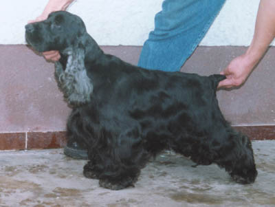 Champ. Extra Boy z&nbsp;Vejminku