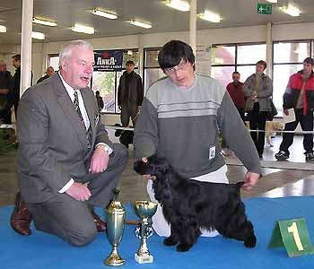 Inspector Liz z Vejminku (Lza) - CLUB WINNER 2003 and B.O.B.!!! under Mr Bob Jackson from England.