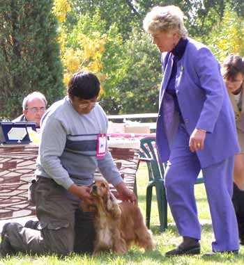 JunChamp. Jozelah Words and Music (Fleur) - Club Winner Show in Kecskemet - excellent III.