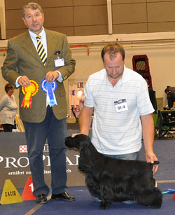 Leslie z Vejminku: Exc.I., CACA, res CACIB