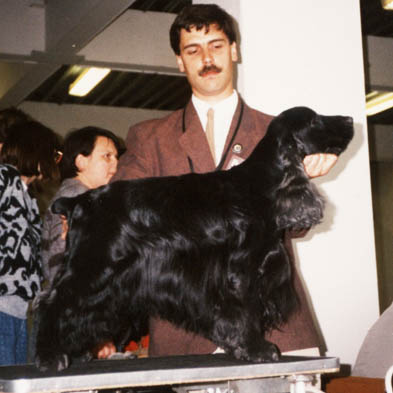 InterChamp. Lochranza Certain Style