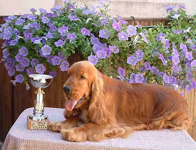 Odeon z Vejminku (Leo) with his first trophy.