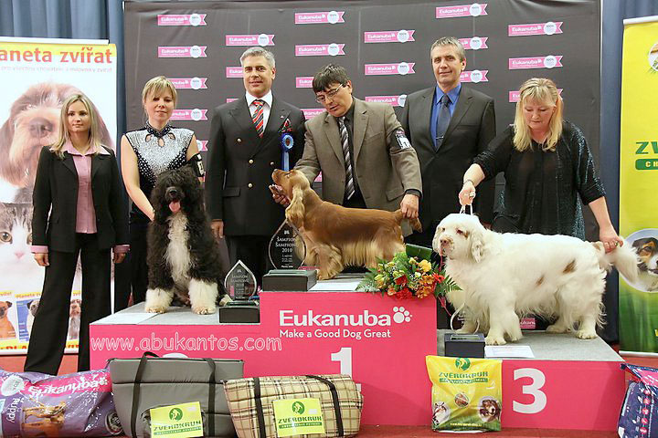 Champion of Champions 2010 Prague CZ - 3rd TOP DOG in CZ - FCI Gr.No. VIII., BOB