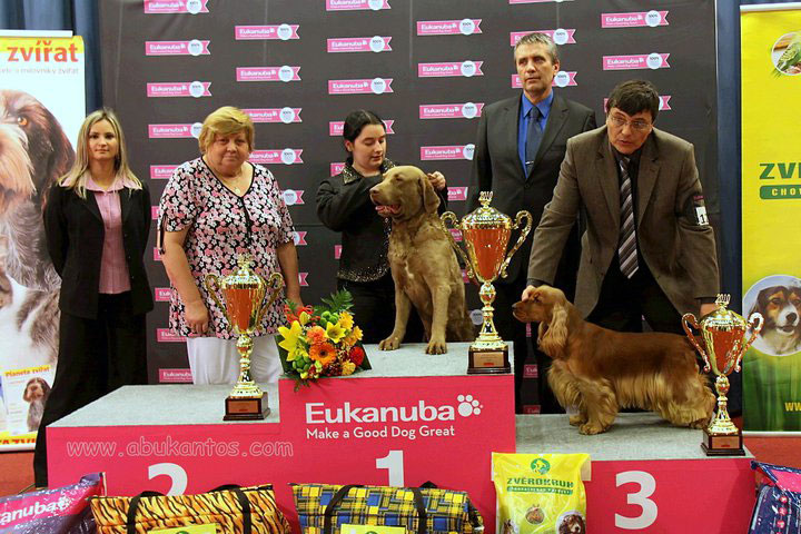 Champion of Champions 2010 Prague CZ - 3rd TOP DOG in CZ - FCI Gr.No. VIII., BOB