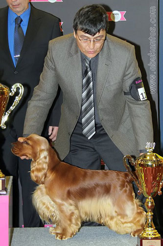 Champion of Champions 2010 Prague CZ - 3rd TOP DOG in CZ - FCI Gr.No. VIII., BOB