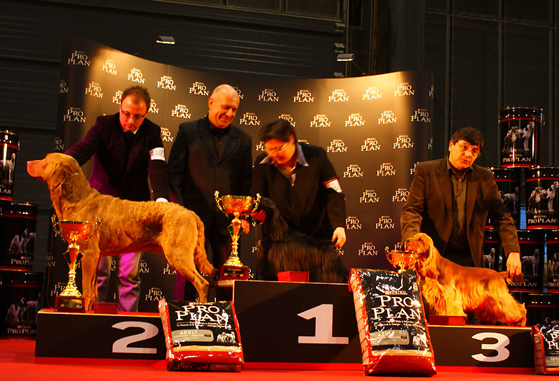 Robin Hood z Vejminku 3rd BIG under Mr J. Olszewski.  photo S. Sehnalkov