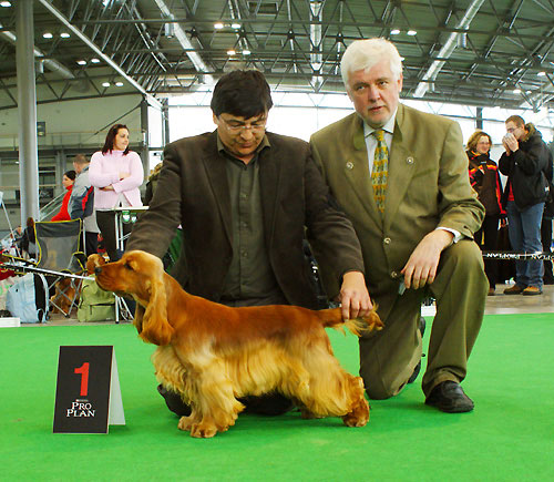 CACIB Brno 7.2.2010 -Exc.I., CAJC, BOB Junior, BOB under ing Z. Antonovic.  photo S. Sehnalkov