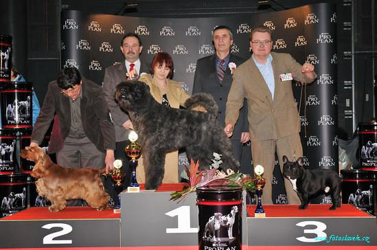 CACIB Brno 7.2.2010 -Best In Group Junior and res. Junior Best In Show under Mr M. Vaclavik