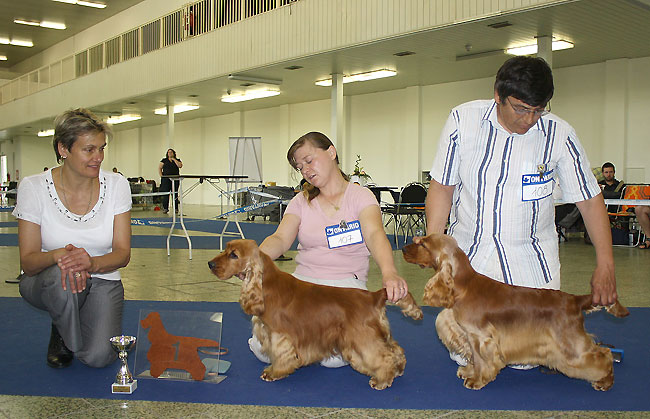 Club show Brno 2010 - Exc.II., res CAC