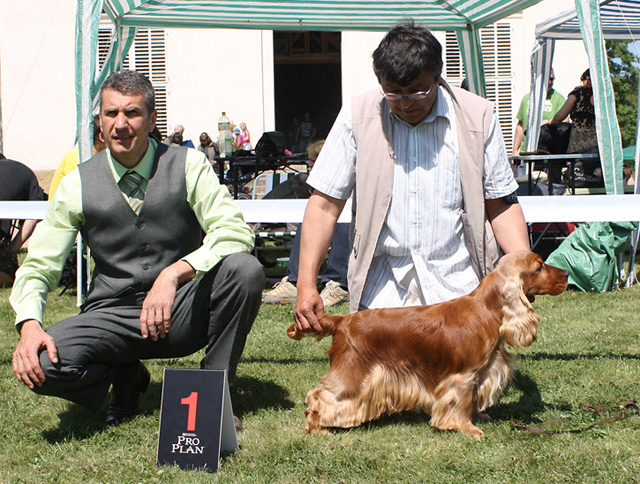 Club Show (KCHLS) Kacina 2011 - Exc.I., CAC