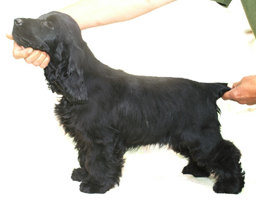 Romana z Vejminku 4,5 months