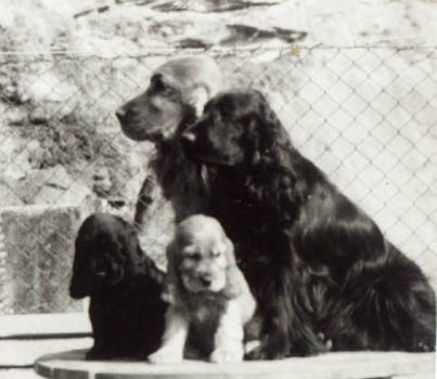 Sofi z Mal� Kamenn� se sv�m sourozencem a rodi�i