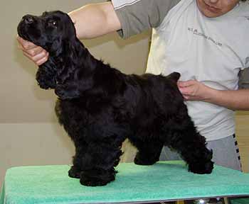 Samuel z Vejminku at the age of five months.