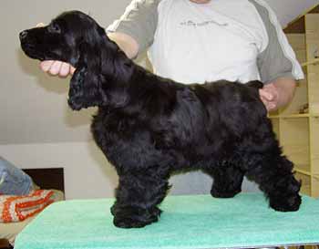 Samuel z Vejminku at the age of five months.