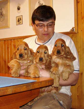 W - litter (Francinis Effimero x Inspector Liz z Vejminku) at 3 months