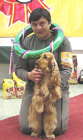 5.11.2006 - Club Winner Show of Slowakian Spaniel Club in Nitra under Mrs Ann Chris Johansson. Great day for us again. Windy z Vejminku went CAC, Club Winner, Best Of Breed, Best working dog (all breeds),  BEST IN SHOW.