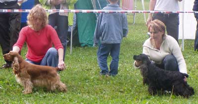 Windy and Inspector Liz z Vejminku - Club Show Praha 2006