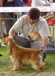 Windy z Vejminku - CACIB Show at Mlada Boleslav 2006