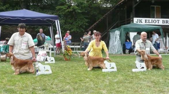 Special Show Brno 7.9.2008 - Windy z Vejminku  - Exc.I., CAC