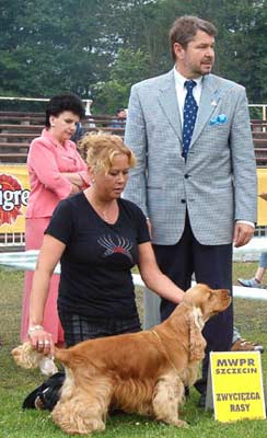 Xanthos z Vejminku went CWC & CACIB & BOB at Szczesin CACIB Show 18th of June under Mr Laurent Pichard from Switzerland. Big congratulation Milena and Renata.